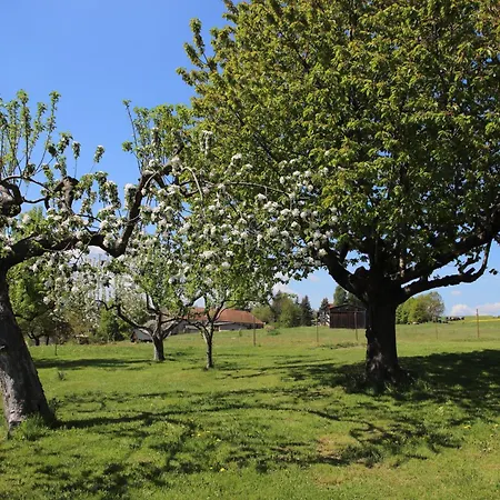 Fuer 3 Personen 45 M² Bertsdorf-Hoernitz